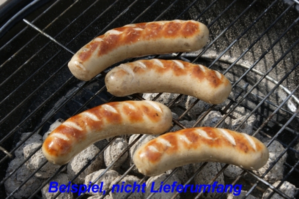 Sausage filler 0.9 kg, sausage syringe, sausages, with instructions and recipes
